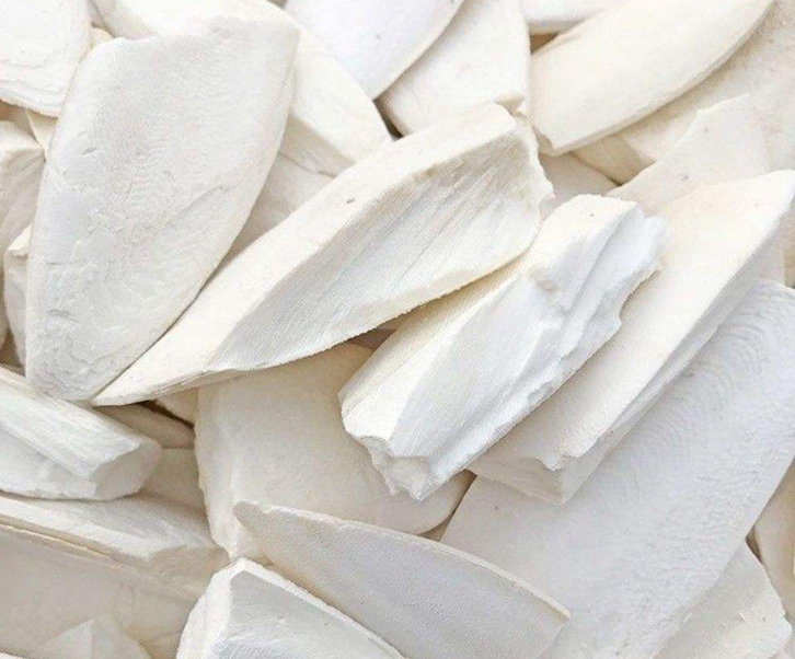 北京進口墨魚骨報關資料