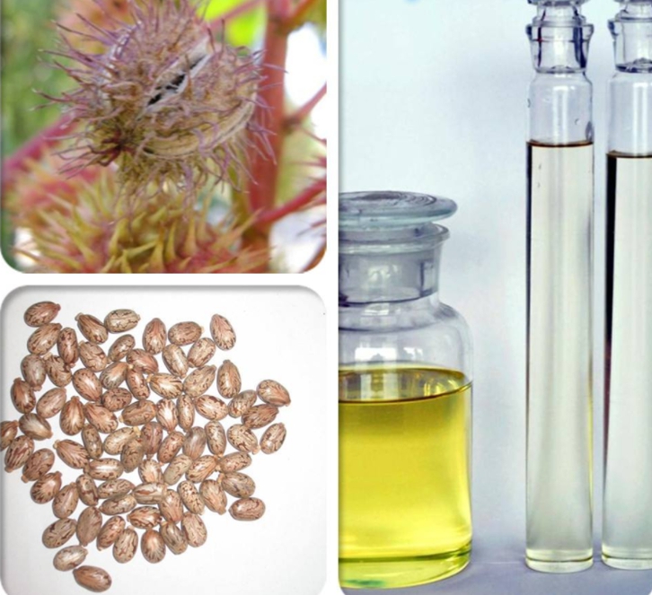 印度蓖麻油進口清關(guān)資料