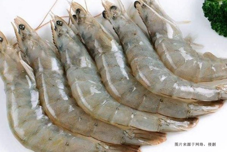 上海進口泰國冷凍白對蝦報關費用_水產品快速通關