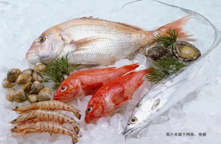 北京冷凍食品進口報關流程及費用