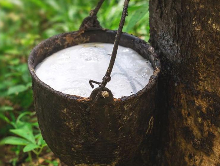 深圳橡膠進口報關(guān)流程