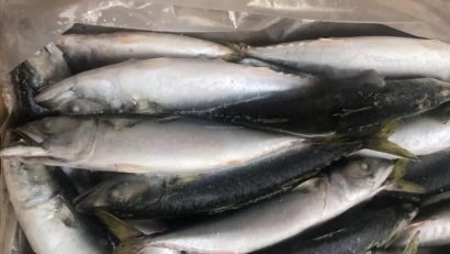 冷凍魚進(jìn)口報(bào)關(guān)流程_進(jìn)口冷凍魚到國(guó)內(nèi)報(bào)關(guān)的注意事項(xiàng)