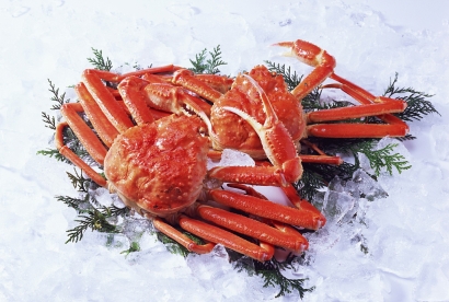 廣州帝王蟹進(jìn)口清關(guān)代理服務(wù)