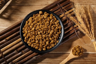 廣州貓糧進(jìn)口報(bào)關(guān)公司哪家好?貓糧進(jìn)口報(bào)關(guān)公司如何選擇?