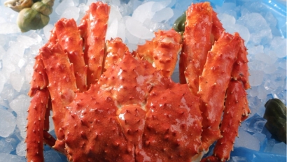 上海進口挪威帝王蟹報關(guān)資料7步_螃蟹清關(guān)流程