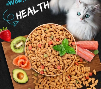 進(jìn)口寵物食品報關(guān)單證_詳解進(jìn)口流程及要點(diǎn)