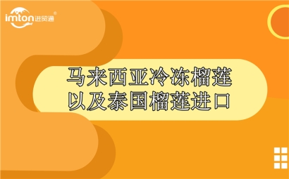 馬來(lái)西亞冷凍榴蓮以及泰國(guó)榴蓮進(jìn)口報(bào)關(guān)公司