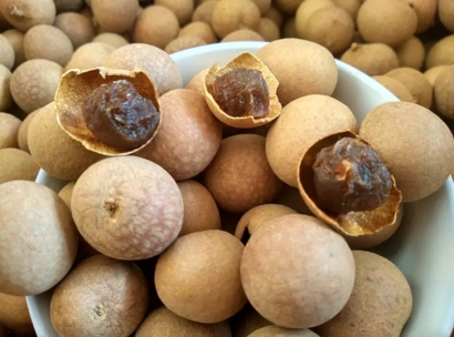 上海龍眼干進口報關公司哪家好-18年清關經驗