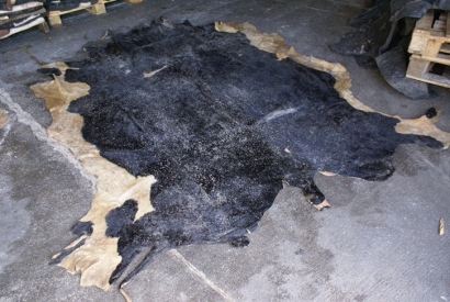 孟加拉國(guó)到青島藍(lán)濕牛皮進(jìn)口報(bào)關(guān)資料費(fèi)用代理案例