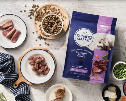 寵物貓糧進口報關公司一站式進口貓糧清關-門到門