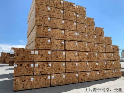 白俄羅斯進口報關公司哪家好？白俄羅斯木材清關流程