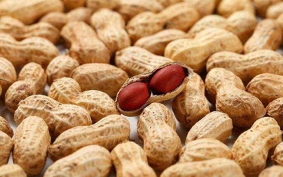 進口大宗農產品報關需要了解這些