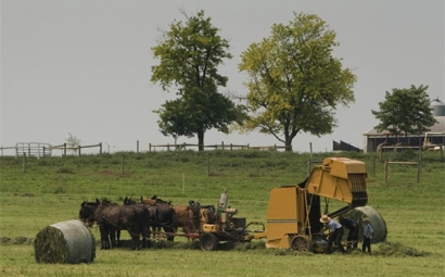 打捆機進口清關需要的流程以及費用