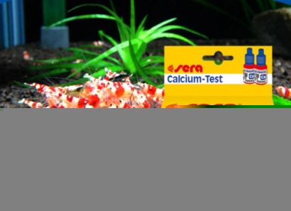 廣州黃埔進(jìn)口荷蘭水質(zhì)測試劑清關(guān)流程化工品案例