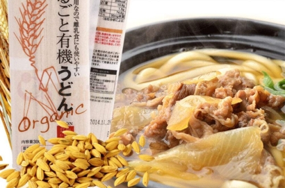 進(jìn)口日本嬰兒輔食報關(guān)公司代理流程-10家分公司