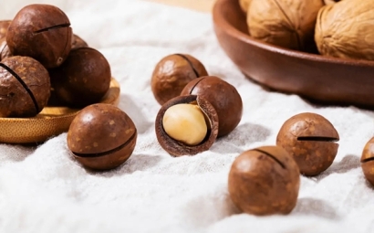 柬埔寨夏威夷果進口清關怎么操作