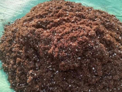 青島進(jìn)口清關(guān)報關(guān)公司代理椰糠進(jìn)口報關(guān)費(fèi)用