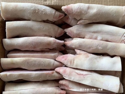 蘇州冷凍食品進(jìn)口報關(guān)清關(guān)：廣州臻力提供專業(yè)服務(wù)