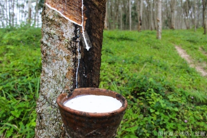 進(jìn)口天然橡膠清關(guān)流程及手續(xù)_越南橡膠進(jìn)口報關(guān)行