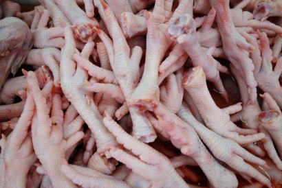 天津雞爪進口報關費用以及流程手續資料「快速通關」