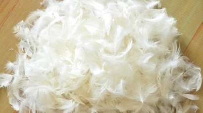 鴨毛進口報關，給大家普及一下相關知識