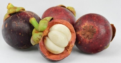 【馬來(lái)西亞山竹進(jìn)口清關(guān)代理公司】指導(dǎo)您如何進(jìn)口山竹