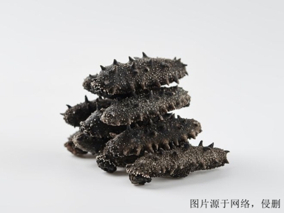 廣州進口越南仿刺參清關流程-19年冷凍水產(chǎn)品報關行