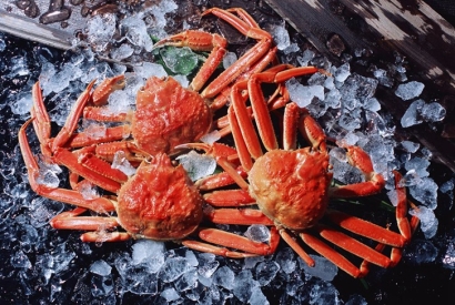 廣州機場進口斯里蘭卡螃蟹報關(guān)費用_水產(chǎn)品通關(guān)費