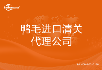 鴨毛進口清關代理公司