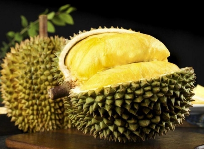 馬來(lái)西亞榴蓮進(jìn)口報(bào)關(guān)資料7樣_貓山王榴蓮關(guān)稅