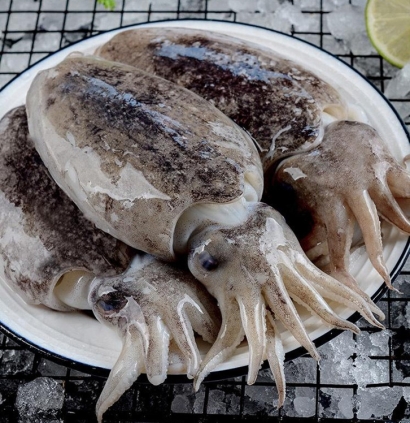 摩洛哥冷凍墨魚進口報關費用_水產(chǎn)品清關費用