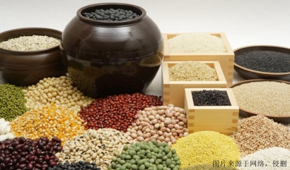 廣州進(jìn)口食品報關(guān)_廣州臻力解析詳細(xì)流程和要點