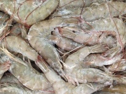 冷凍水產(chǎn)品進口清關資料簡介_進口水產(chǎn)品標簽問題