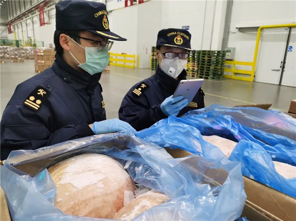 1588990132298309.jpg 進口肉類產品報關