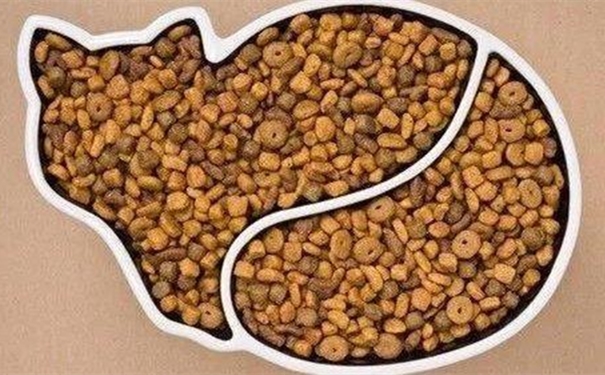 【進口貓糧清關代理】的流程，貓糧進口這樣做