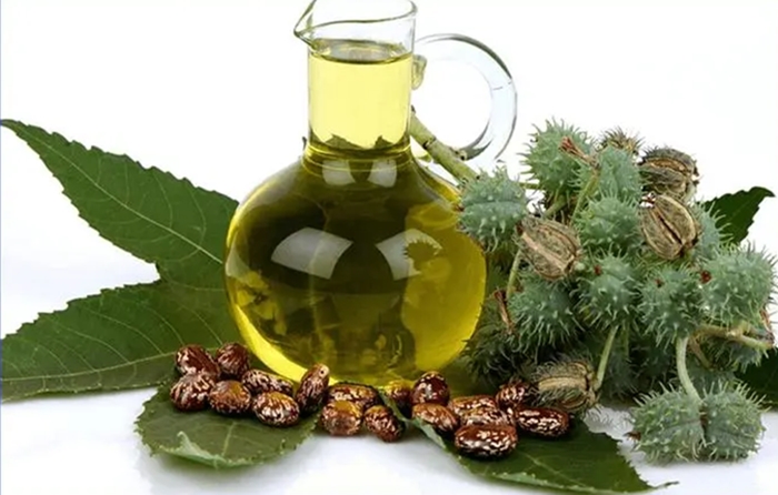 1673265035515204.jpg 進口印度蓖麻油清關.jpg