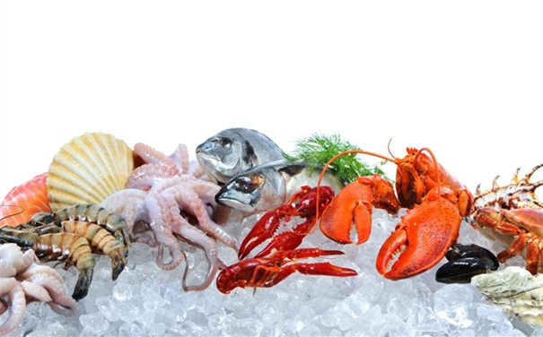 冷凍海鮮進(jìn)口報關(guān)