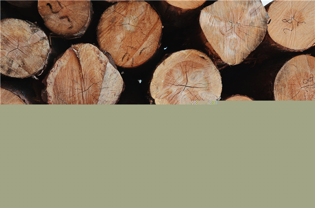 1591666265608460.jpg pexels-photo-2203077.jpg