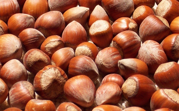 1610358608204071.jpg src=http___images.freeimages.com_images_large-previews_c06_hazelnuts-1500452.jpg&refer=http___images.freeimages_副本.jpg